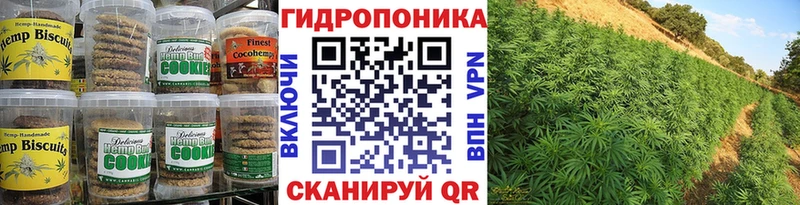 мега вход  Борзя  Cannafood марихуана  где купить наркоту 
