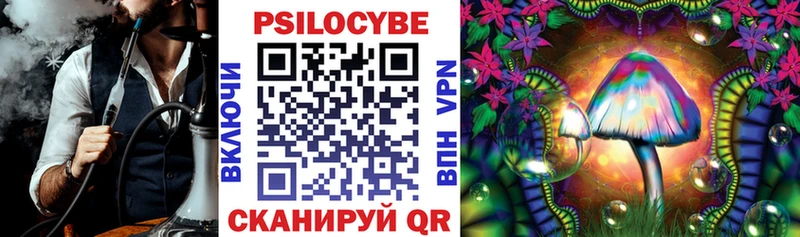 где продают наркотики это как зайти Галлюциногенные грибы мицелий Борзя